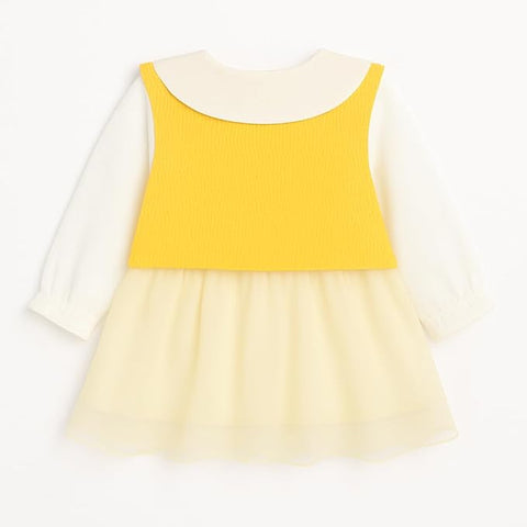Baby Girl Mini Frock