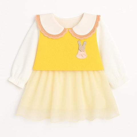 Baby Girl Mini Frock