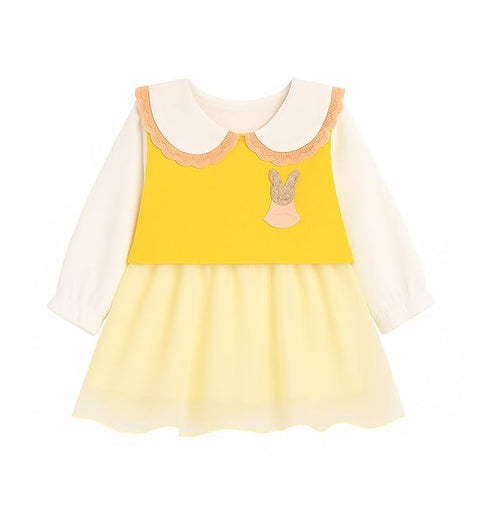 Baby Girl Mini Frock