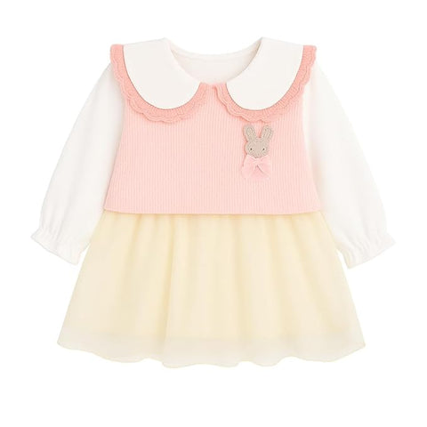 Baby Girl Mini Frock