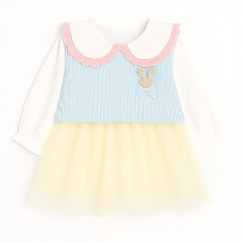 Baby Girl Mini Frock