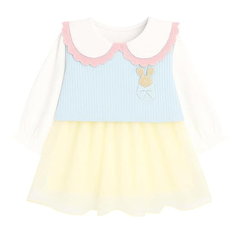 Baby Girl Mini Frock