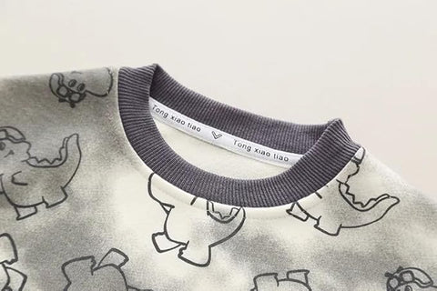 Boys Dino Print Sweatshirt & Ripped Denim Pant Set