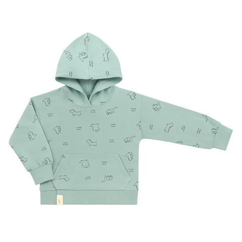 Dino Print Full Sleeve Prewinter Cotton Hoodie T-shirt Sweatshirt for Infants & Toddlers