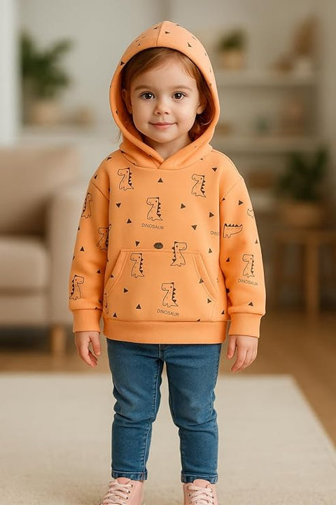 Dino Print Full Sleeve Prewinter Cotton Hoodie T-shirt Sweatshirt for Infants & Toddlers