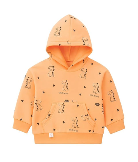 Dino Print Full Sleeve Prewinter Cotton Hoodie T-shirt Sweatshirt for Infants & Toddlers