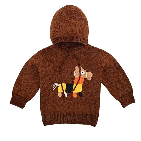 Solid Wool Kid's Full Sleeve Warm Winter Sweater Hoodie Sweatshirt Pullover