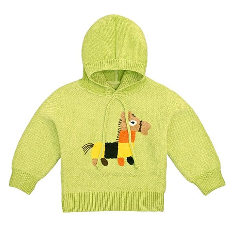 Solid Wool Kid's Full Sleeve Warm Winter Sweater Hoodie Sweatshirt Pullover