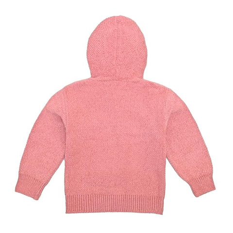Solid Wool Kid's Full Sleeve Warm Winter Sweater Hoodie Sweatshirt Pullover