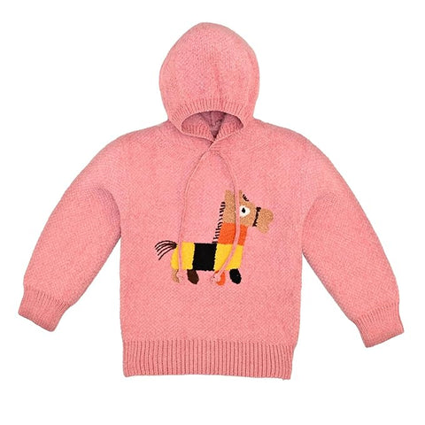 Solid Wool Kid's Full Sleeve Warm Winter Sweater Hoodie Sweatshirt Pullover