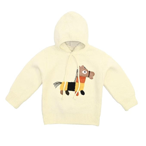 Solid Wool Kid's Full Sleeve Warm Winter Sweater Hoodie Sweatshirt Pullover