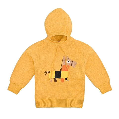 Solid Wool Kid's Full Sleeve Warm Winter Sweater Hoodie Sweatshirt Pullover