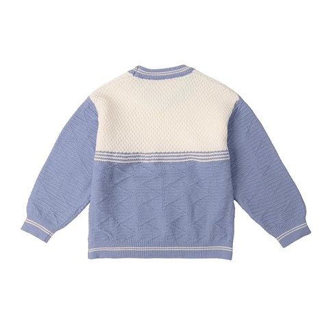 Kids Color-block Knit Sweater with 3D Dog Patch