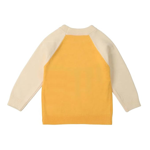 Kid's 3D Dog Print Flat Knit Woolen Sweater Pullover
