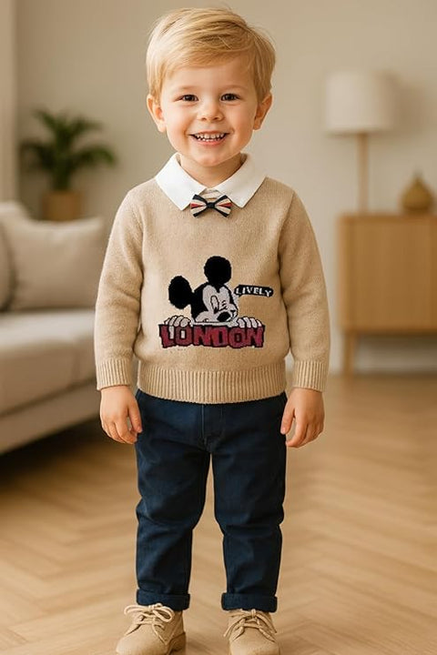Boys Winter Warm Woolen Cartoon Sweater with Detachable Collar