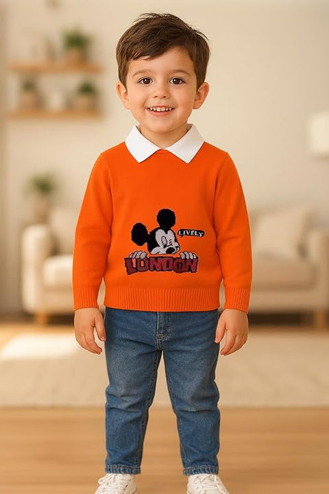 Boys Winter Warm Woolen Cartoon Sweater with Detachable Collar