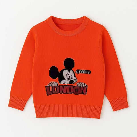 Boys Winter Warm Woolen Cartoon Sweater with Detachable Collar