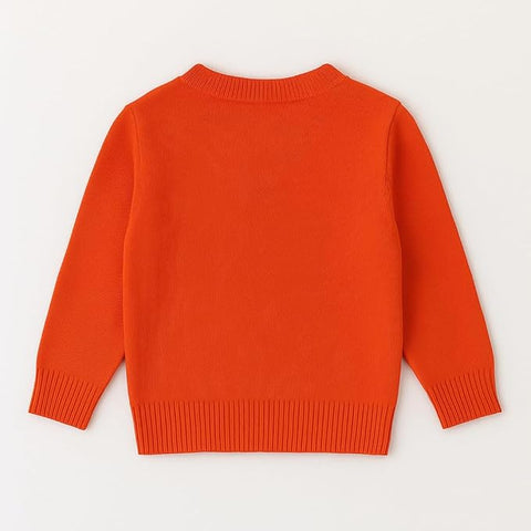 Boys Winter Warm Woolen Cartoon Sweater with Detachable Collar