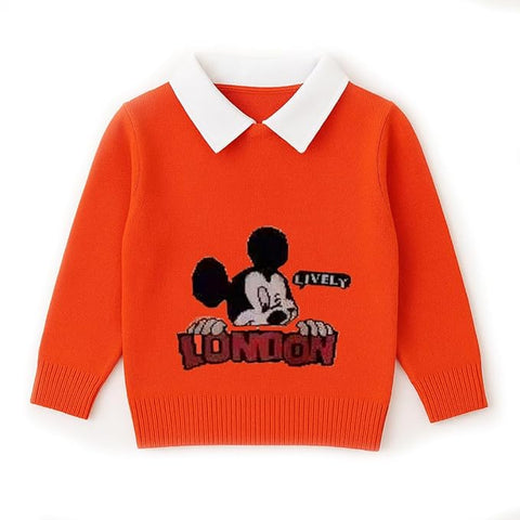Boys Winter Warm Woolen Cartoon Sweater with Detachable Collar