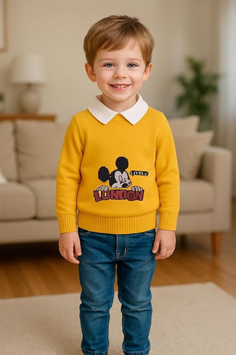 Boys Winter Warm Woolen Cartoon Sweater with Detachable Collar