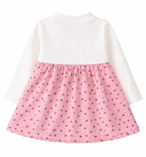 Baby Girls Floral Corduroy Full Sleeve Dress