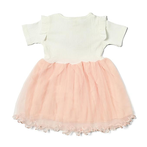 Elegant Rain Cloud Baby Girls Embroidered Party Princess Tutu Dress with Matching Sling Bag Purse
