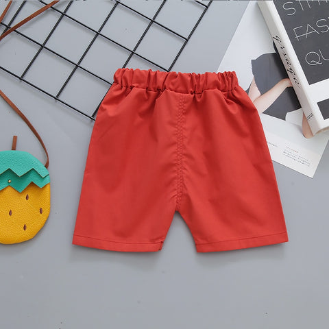 Dinosaur Roar Cartoon Print Half Sleeve Polo T-shirt with Shorts for Infant Toddler Boys