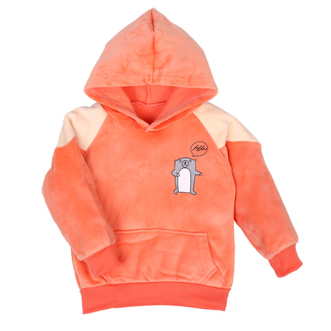 Cute Hamster Warm Micro Fleece Full Sleeve Pullover Sweatshirt Hoodie Tshirt and Lower / Jogger Pant Winter Clothing Set for Kids