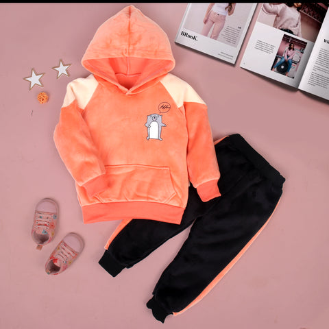 Cute Hamster Warm Micro Fleece Full Sleeve Pullover Sweatshirt Hoodie Tshirt and Lower / Jogger Pant Winter Clothing Set for Kids