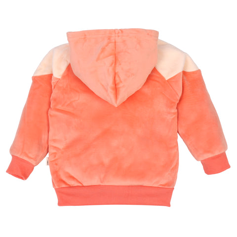 Cute Hamster Warm Micro Fleece Full Sleeve Pullover Sweatshirt Hoodie Tshirt and Lower / Jogger Pant Winter Clothing Set for Kids
